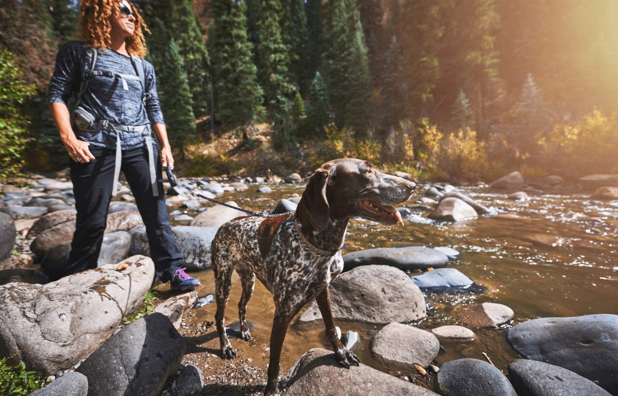 a woman and her dog hike along a small stream