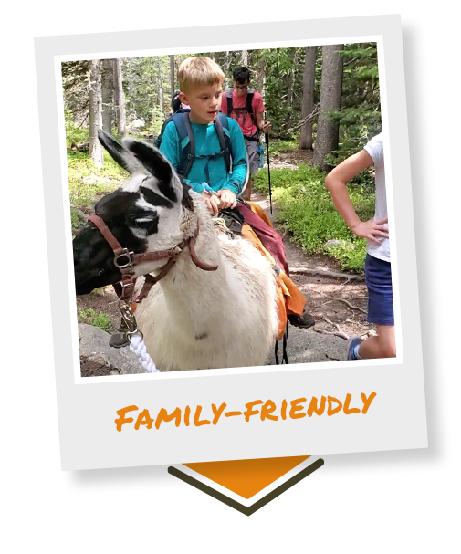 child rides a llama on a day hike