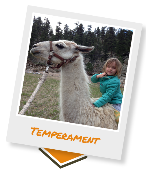 Temperament-2