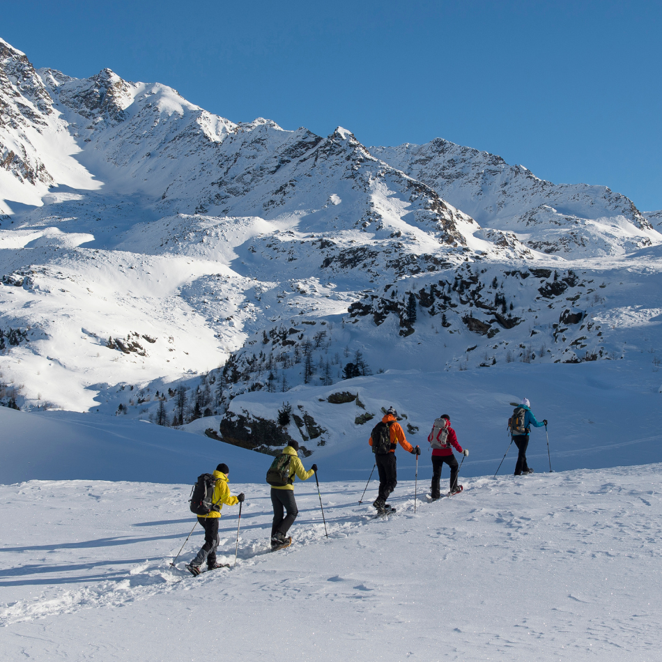 group of people snowshoeing near a large snow-covered mountain